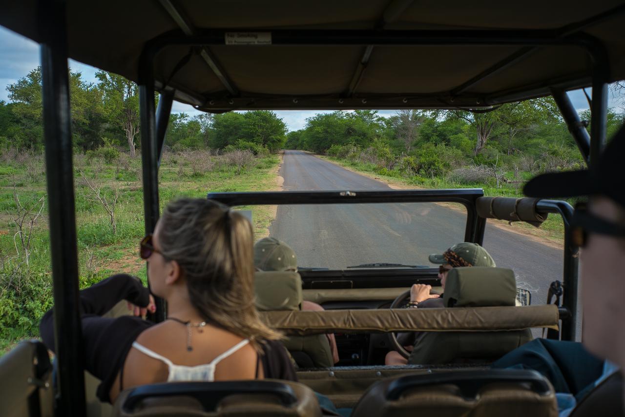 Imbube Safari *