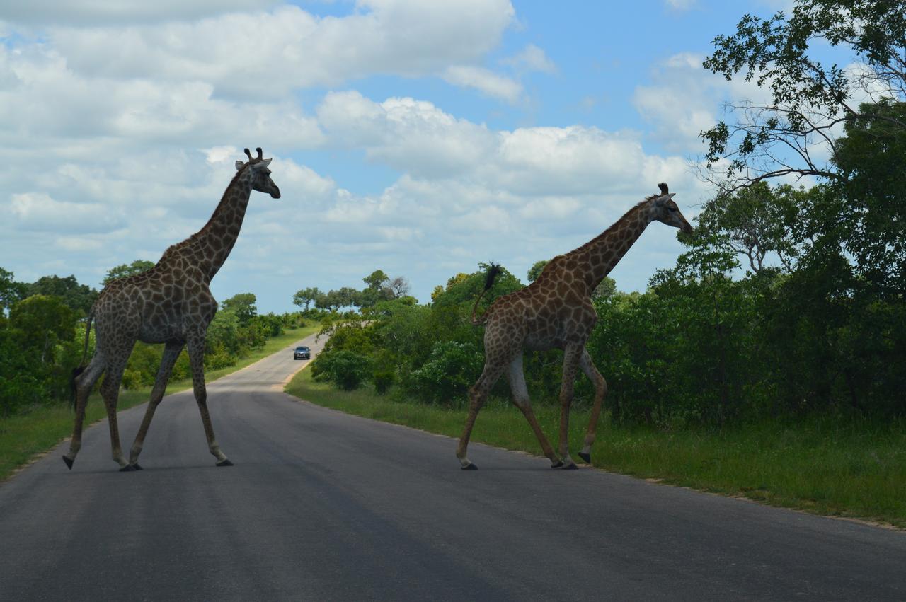 Imbube Safari * Marloth Park
