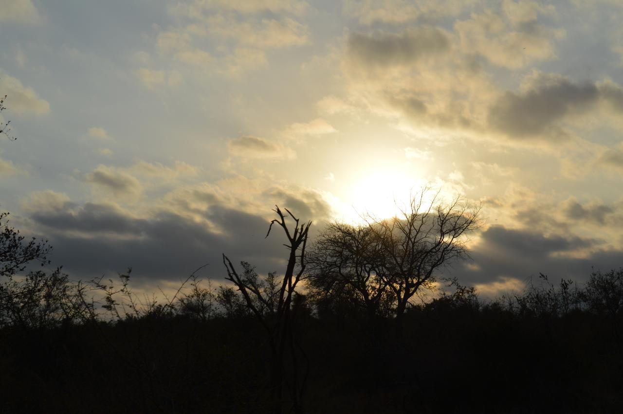 Imbube Safari * Marloth Park