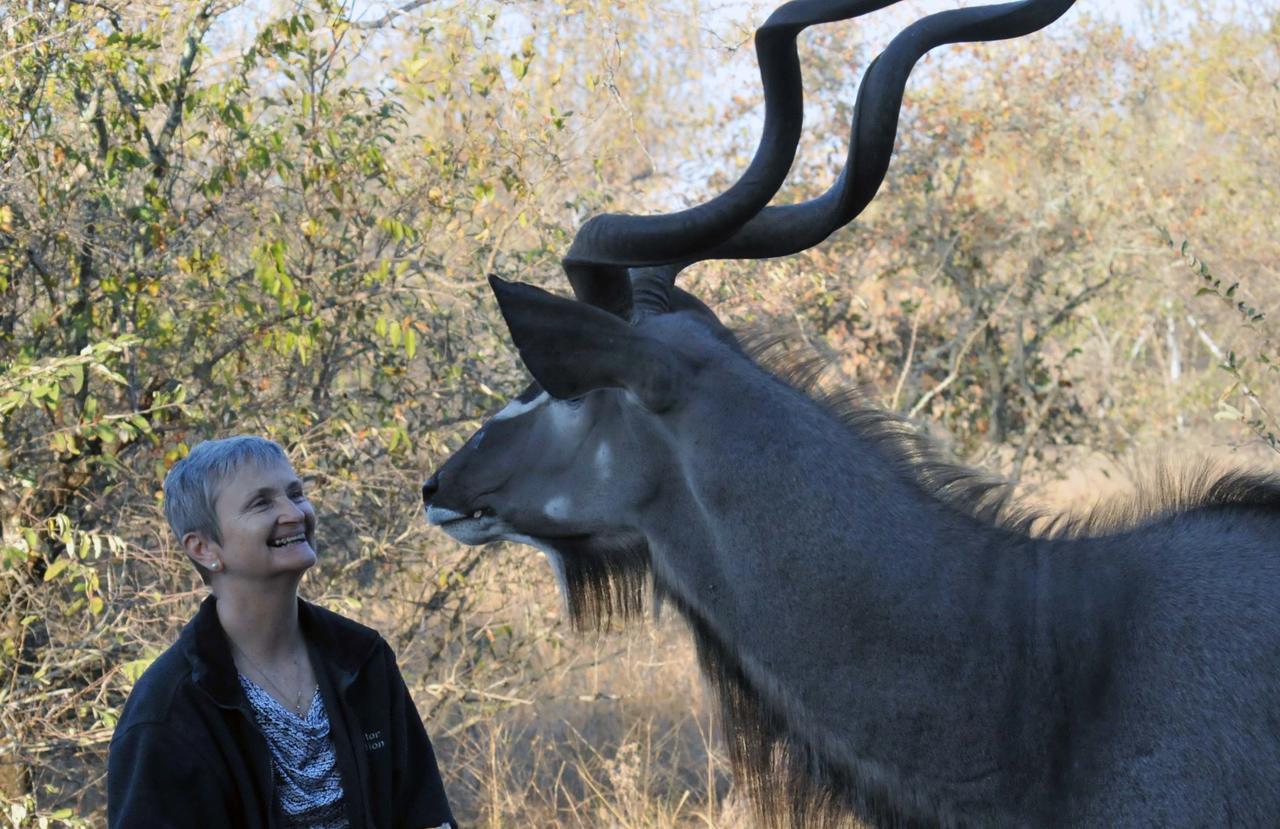 Imbube Safari Alojamento de Turismo Selvagem Marloth Park
