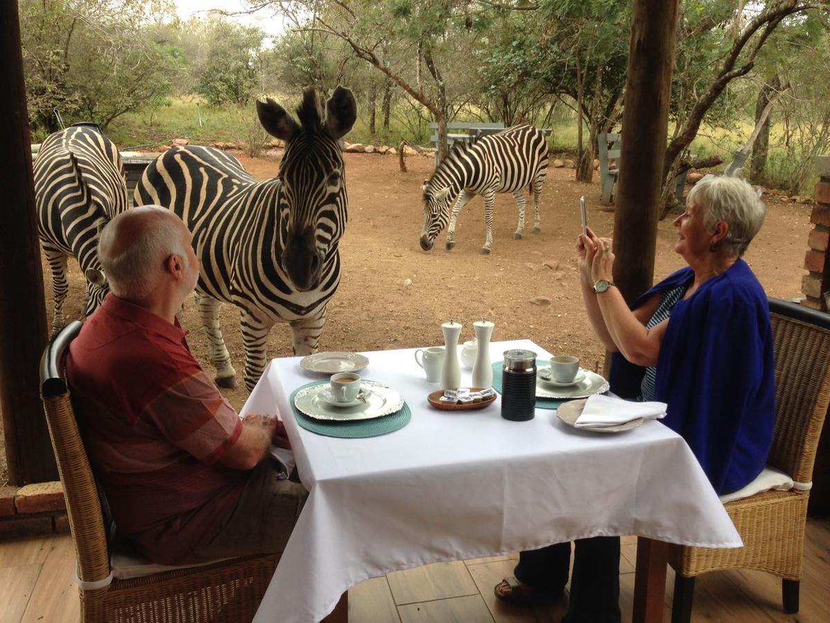 Imbube Safari