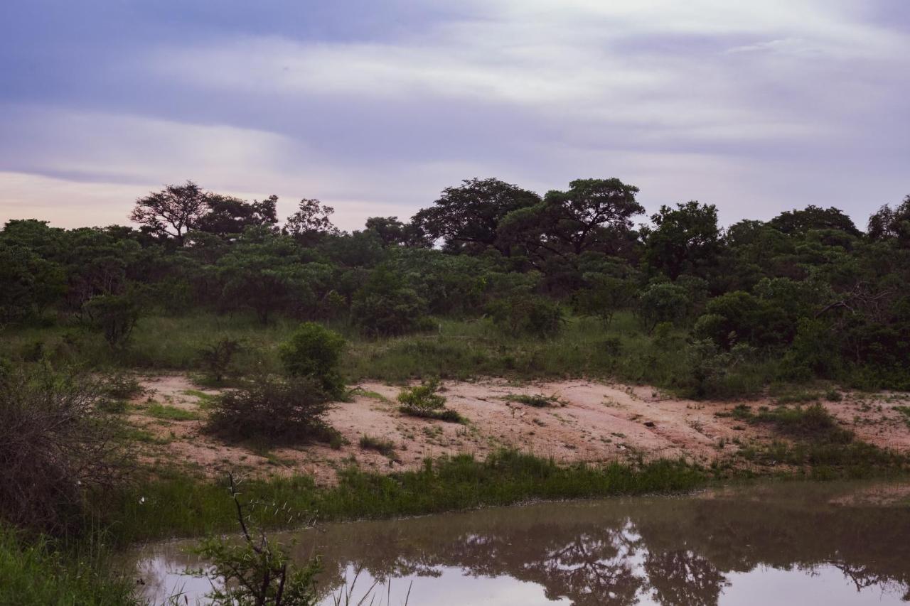 Imbube Safari Alojamento de Turismo Selvagem Marloth Park