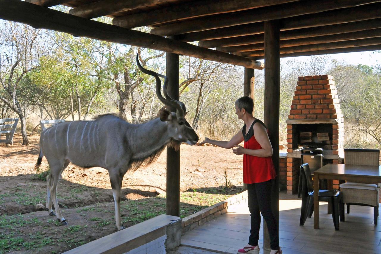 Imbube Safari Lodge