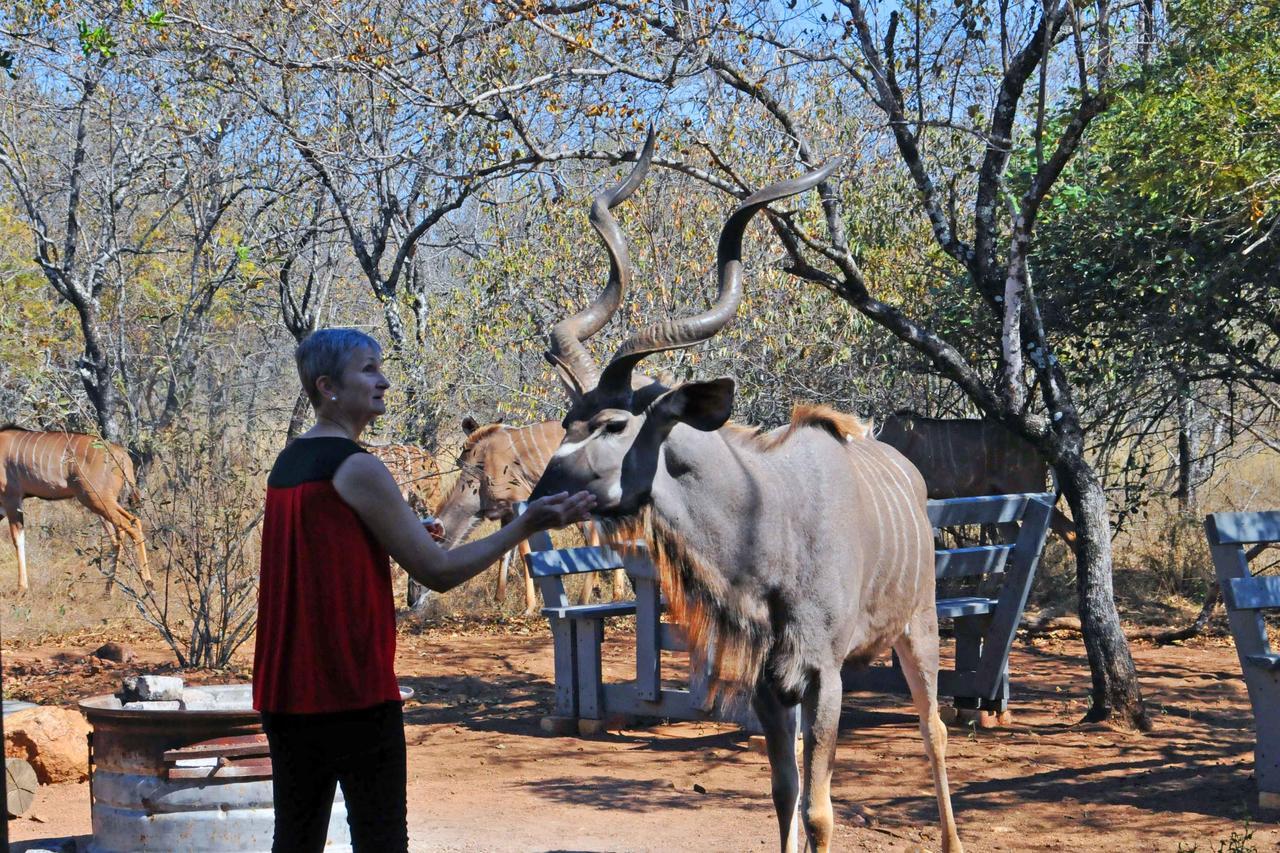Imbube Safari Lodge *
